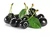 cerises noires en étain égouttées, jus réservé