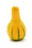 Courge Cushaw