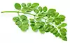 Feuilles De Moringa