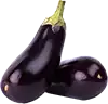 Aubergine