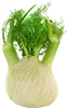 Fenouil