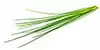 ciboulette fraîche, hachée