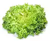 feuilles de laitue frisée