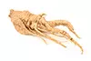 Racine De Ginseng
