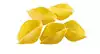 20 coquilles de pâtes jumbo non cuites