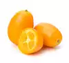 Garnitures : kumquats entiers, romarin frais