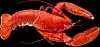Homard