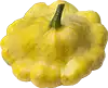 courge pattypan