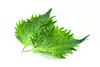 feuilles de shiso vert (ou d'autres herbes telles que le thym, la menthe ou la coriandre)