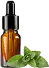 stevia liquide