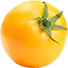 Tomate Jaune