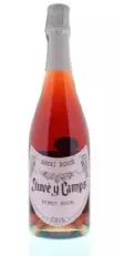 Juve Y Camps Pinot Noir Brut Rosé
