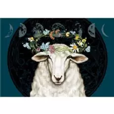 Bonterra Elysian Merlot Issu de l'Agriculture Biologique