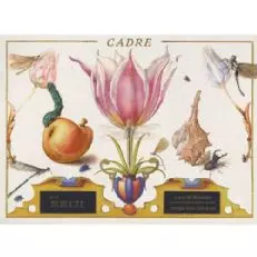 Cadre Stone Blossom Sauvignon Blanc