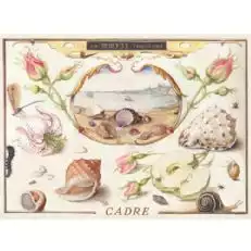 Cadre Sea Queen Albarino