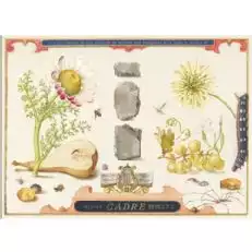 Cadre Bande de Pierres Gruner Veltliner