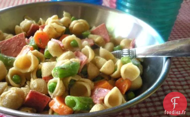 Salade de Pique-Nique aux Pâtes Pétillantes
