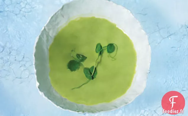 Soupe Fraîche aux Pois et Babeurre Réfrigérée