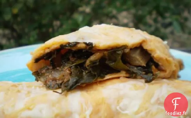 Enchiladas Aux Légumes Verts Grillés