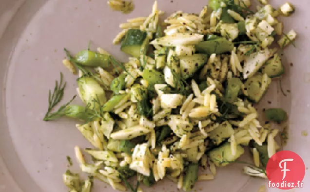 Salade d'Orzo, Haricots Verts et Fenouil au Pesto à l'aneth