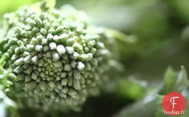 Strates De Rabe Au Brocoli Et De Pain De Maïs