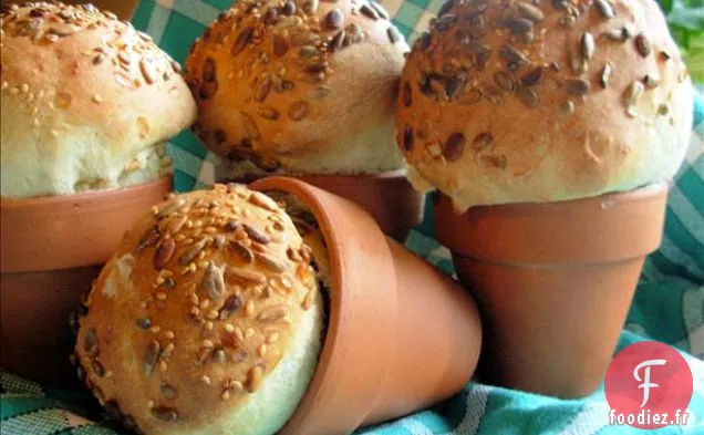 Crêpes À La Citrouille (Ou À La Courge)