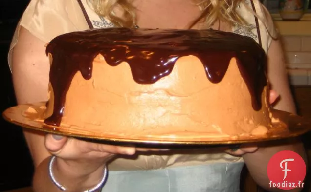 Gâteau Glacé à la Citrouille Au Chocolat