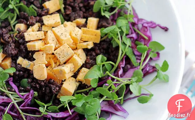Fromage Leicester Rouge, Lentilles Et Chou Rouge