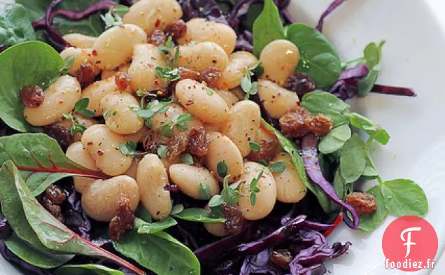 Fèves, Épinards Et Chou Rouge