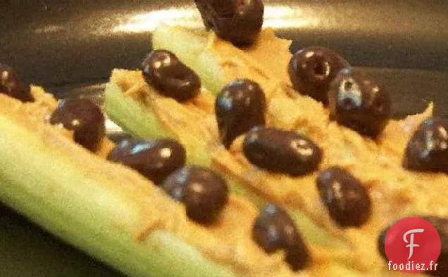 Petites bosses sur une bûche