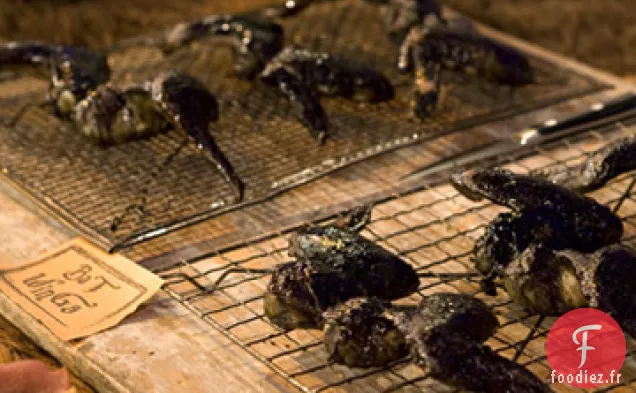 Ailes de Chauve-Souris