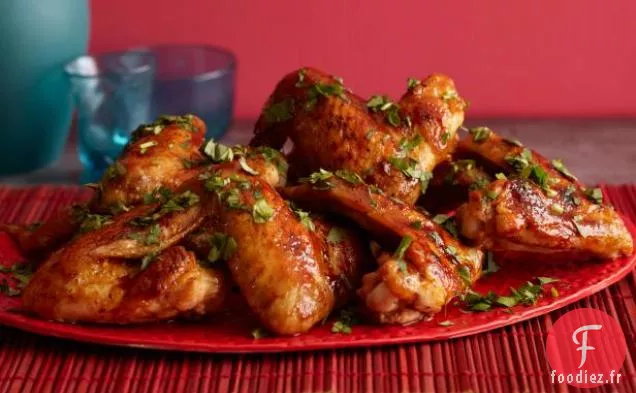 Ailes Vitrées Asiatiques