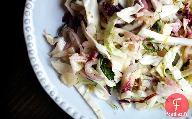 Salade De Fenouil Et Citron Frais