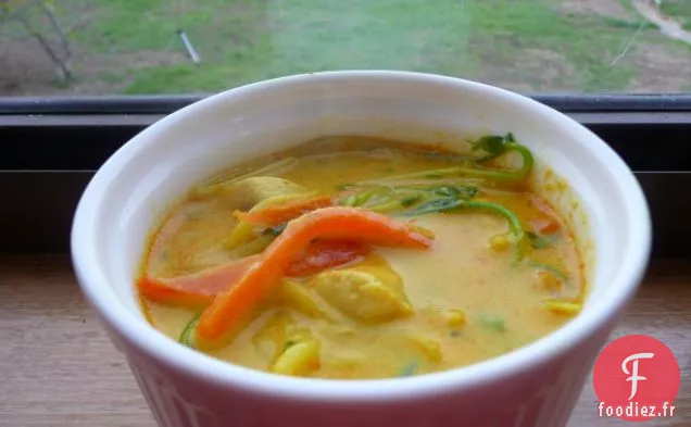 Laksa au Poulet (Faible en gras et Délicieux)