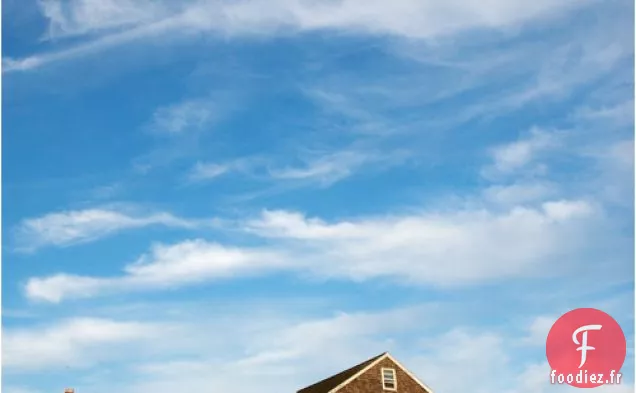 Soupe De Maïs Jeune Et De Céleri