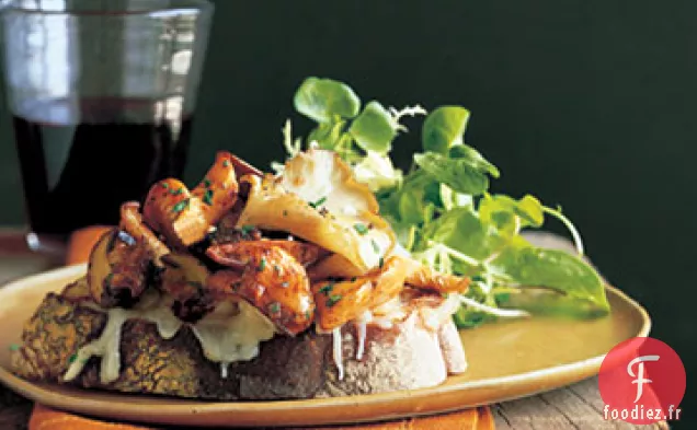 Sandwichs aux Champignons Sauvages et à la Fontina