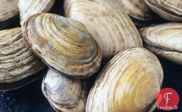 Ragoût de Poisson Sauté