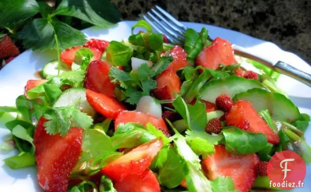 Salade de Radis à la Menthe