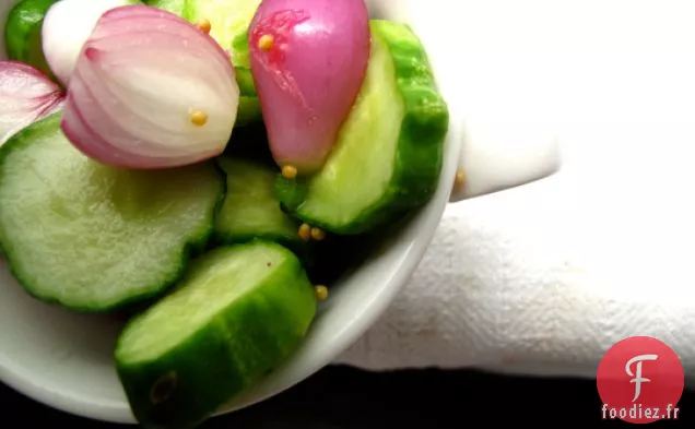Les Cornichons du Réfrigérateur de Tante Lorraine