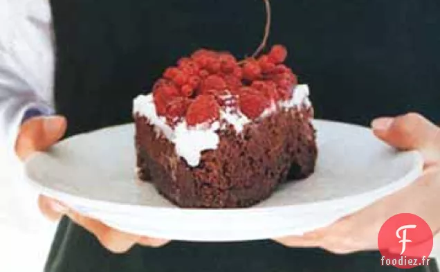 Double Torte Au Chocolat