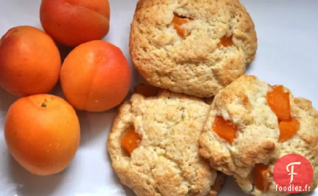 Scones à Goutte d'Abricot