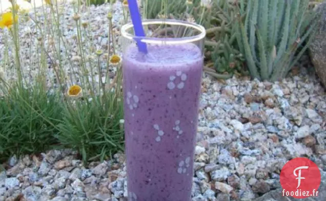 Milk-Shake aux Myrtilles Santé