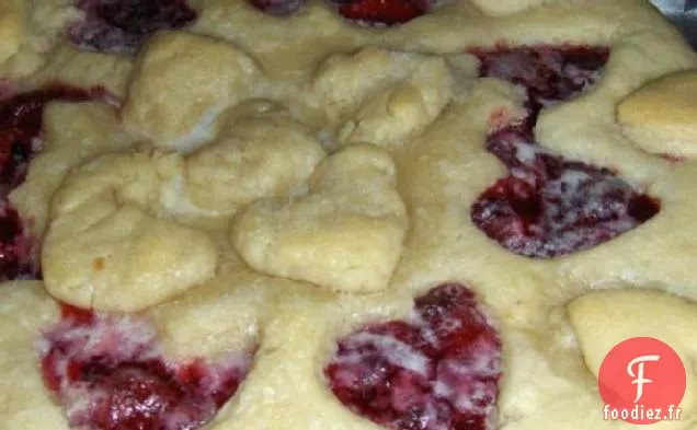Tarte aux Baies de Montagne