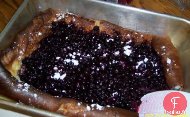 Bébé hollandais aux baies (Faible en gras)