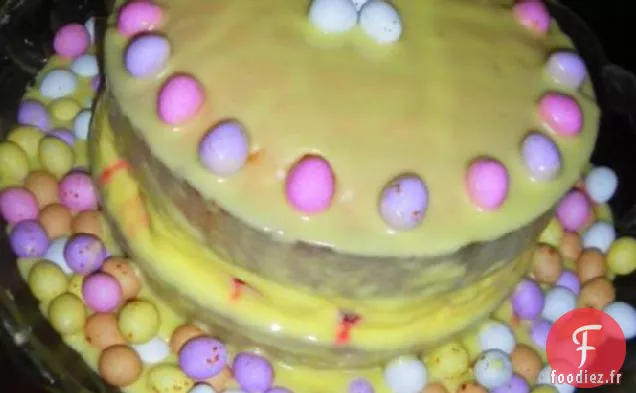Gâteau de Printemps / Pâques aux Framboises et au Citron