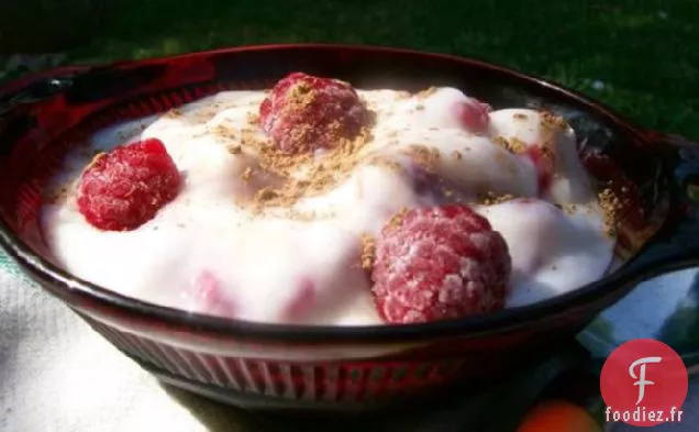 Gâterie au Yogourt aux Framboises Rapide et Saine