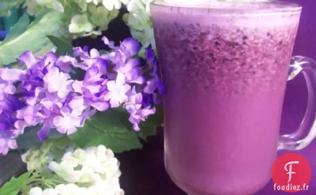 Fizz de Bleuets Diabétiques