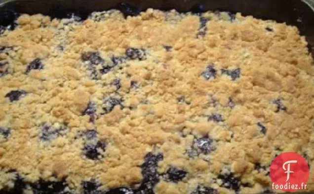 Gâterie d'Été à l'Avoine aux Myrtilles