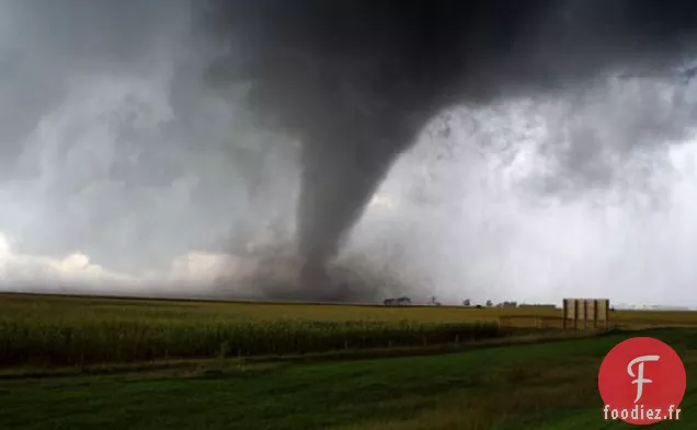 Recette de Muffins aux Bleuets et aux Pacanes