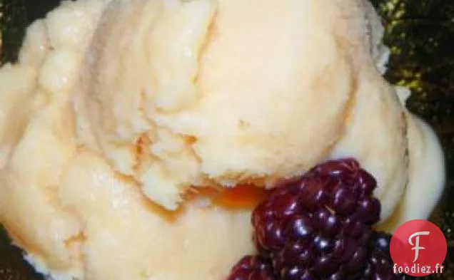Sorbet au Cantaloup